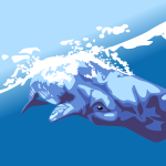 　　　　　　　　マッコウクジラ